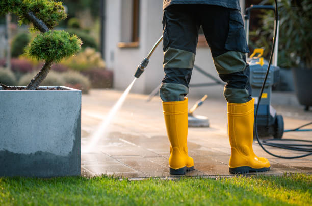 Best Local Pressure Washing Services  in Buckner, KY